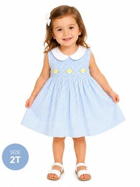 Rare Vintage House of Hatten Inc Smocked Gingham Peter Pan Dress in Light Blue